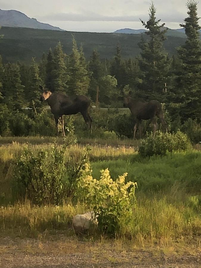 Denali Park Hotel 힐리 외부 사진